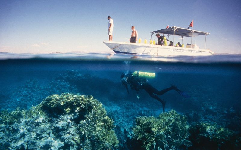 عطلة الغوص باجهزه التنفس تحت الماء